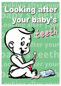 Baby's teeth leaflet