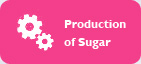 Production of Sugar